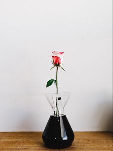 Превью обои роза, цветок, ваза