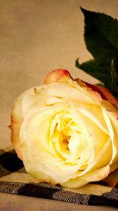 Превью обои роза, цветок, желтая, лежать, салфетка, чайная пара