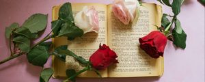 Превью обои роза, цветы, книга, страницы, эстетика