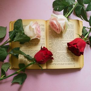 Превью обои роза, цветы, книга, страницы, эстетика