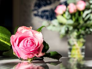 Превью обои роза, цветы, лепестки, макро, розовый