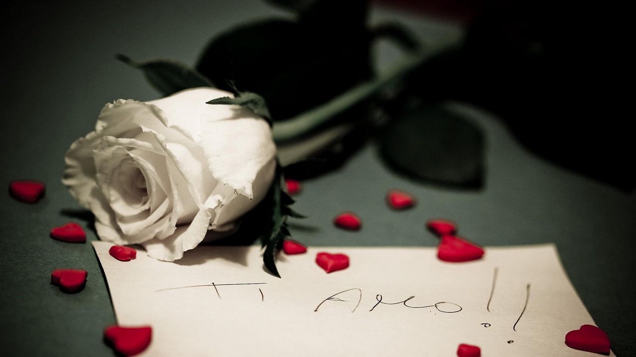 Обои роза, записка, сердечки, романтика