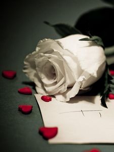 Превью обои роза, записка, сердечки, романтика