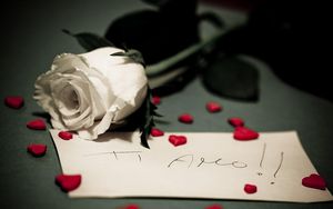Превью обои роза, записка, сердечки, романтика