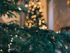 Превью обои рождественская елка, новый год, рождество, блики, боке, ветка, ель
