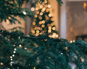 Превью обои рождественская елка, новый год, рождество, блики, боке, ветка, ель