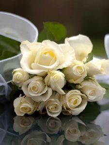 Превью обои розы, белоснежные, цветы, букет, лента, отражение