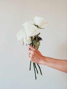 Превью обои розы, белые, букет, цветы, рука