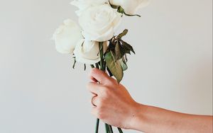 Превью обои розы, белые, букет, цветы, рука