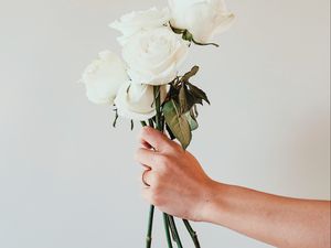 Превью обои розы, белые, букет, цветы, рука