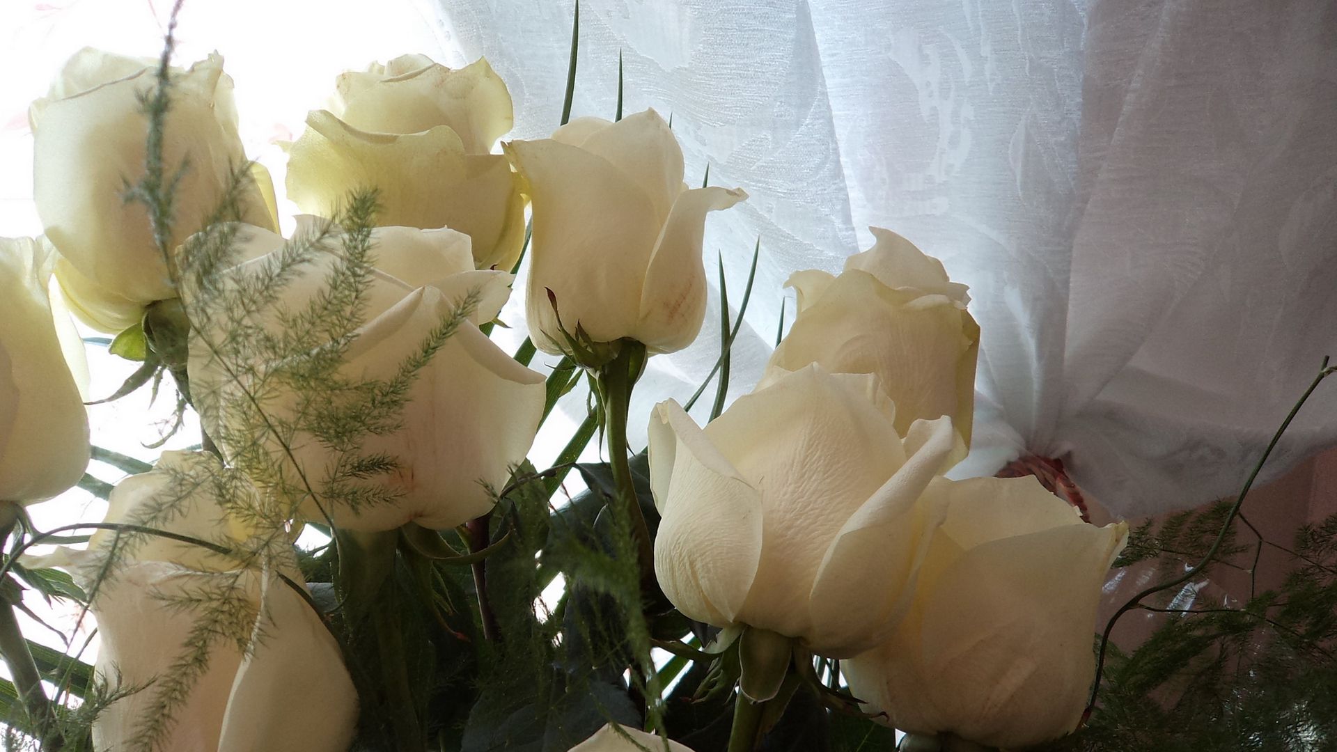Букет Белых Роз На Окне