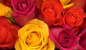 Превью обои розы, букет, бутоны, красный, желтый, розовый, композиция, флористика