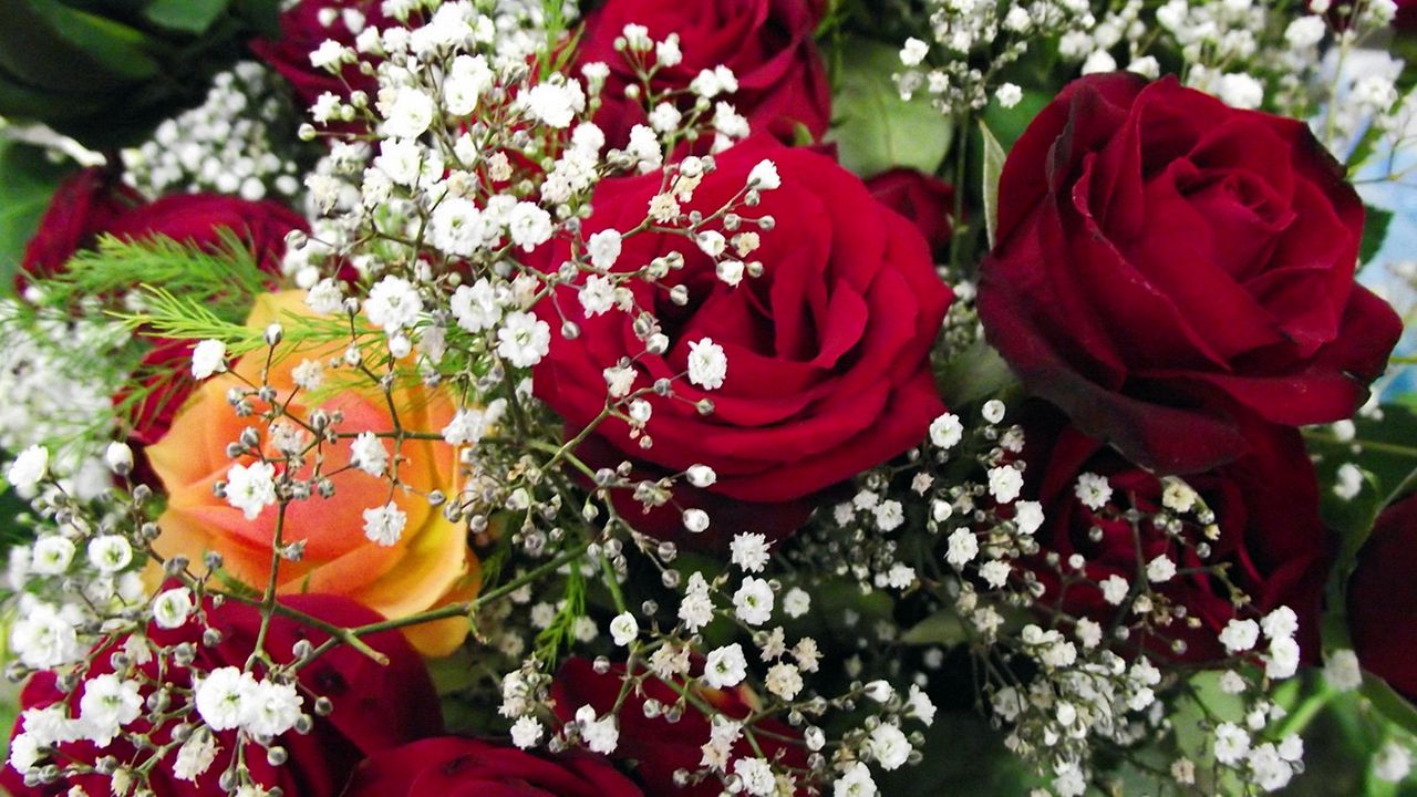 Доставка оттенков в Букет тюльпанів Киеве недорого Цветы дешево