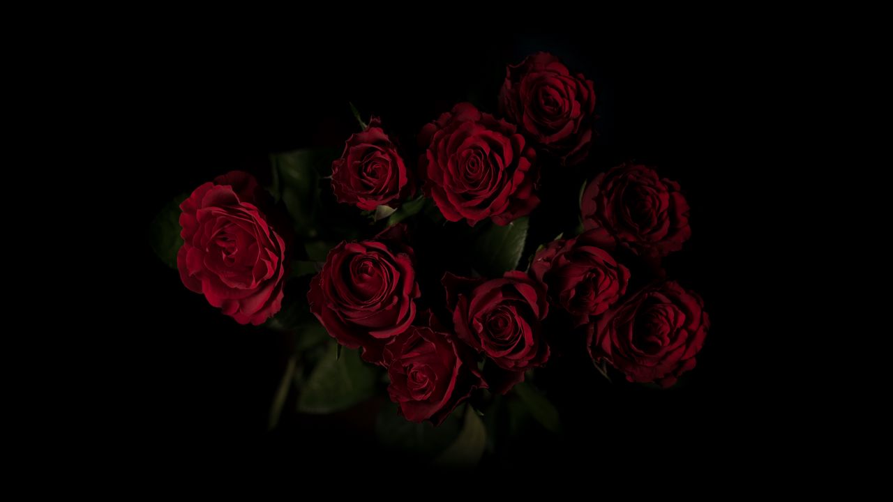 Обои розы, букет, красный, темный фон