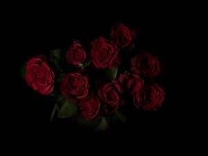 Превью обои розы, букет, красный, темный фон