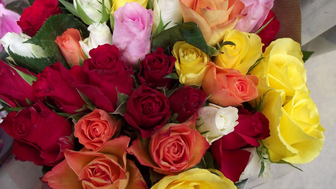 Обои розы, букет, разные цвета, красота