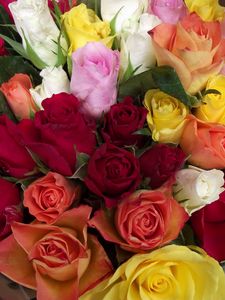 Превью обои розы, букет, разные цвета, красота