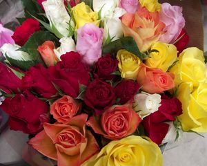 Превью обои розы, букет, разные цвета, красота