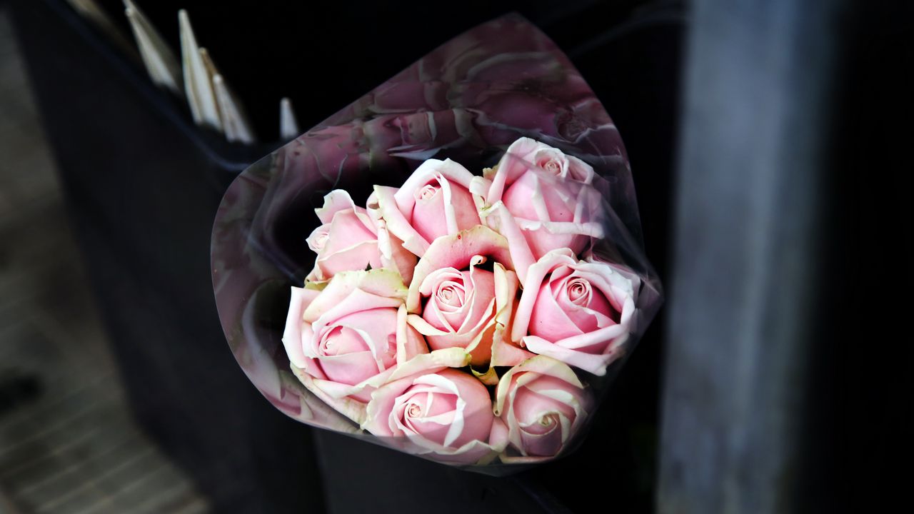 Обои розы, букет, розовый