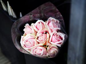 Превью обои розы, букет, розовый