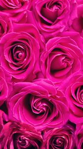 Превью обои розы, букет, розовый, бутоны, цветы