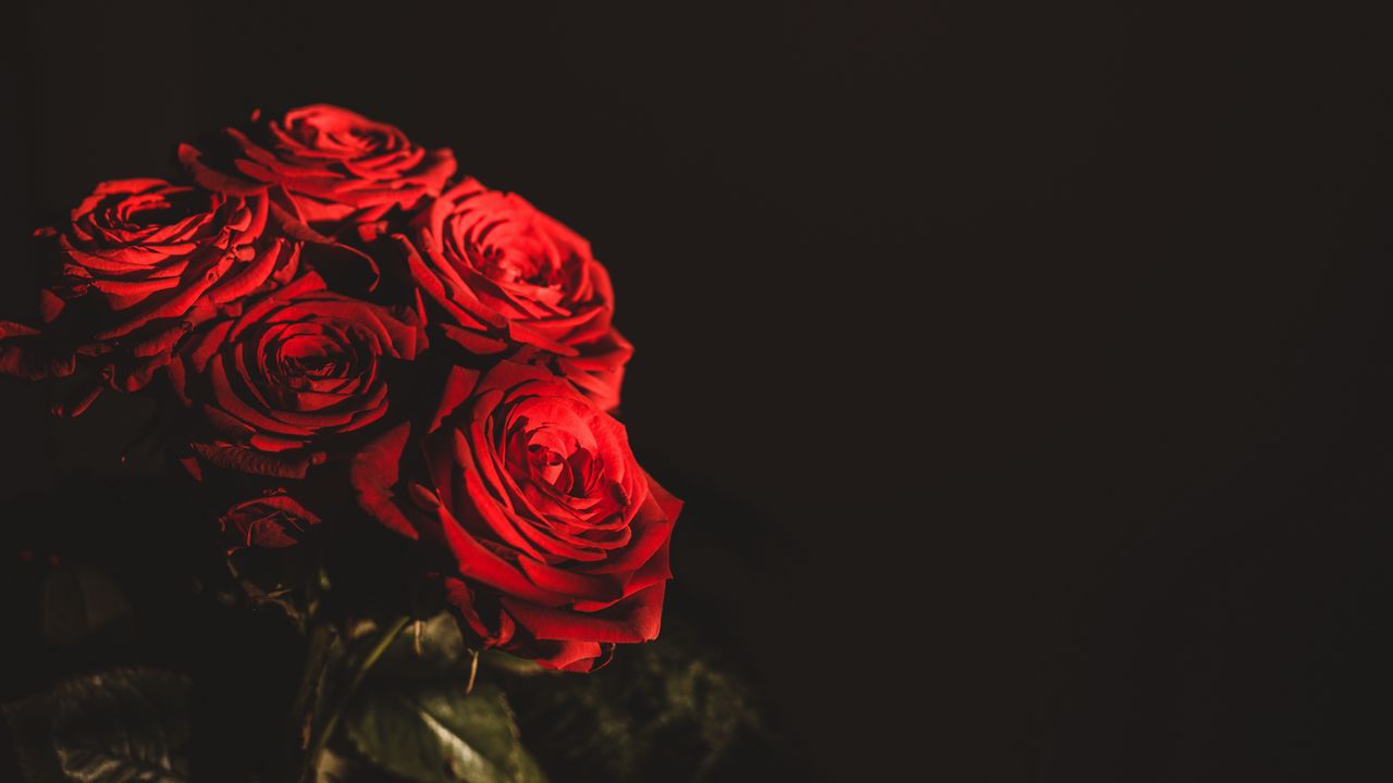Обои розы, букет, цветы, темный, красный