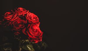 Превью обои розы, букет, цветы, темный, красный