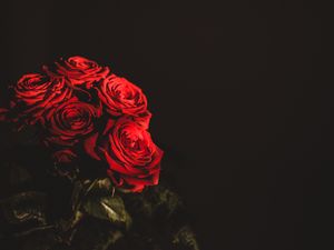 Превью обои розы, букет, цветы, темный, красный