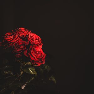 Превью обои розы, букет, цветы, темный, красный