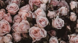 Превью обои розы, букет, цветы, светло розовый, романтика