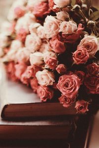 Превью обои розы, букет, цветы, розовые, книги