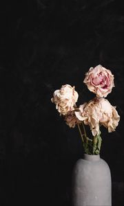 Превью обои розы, букет, цветы, сухой, ваза