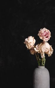 Превью обои розы, букет, цветы, сухой, ваза
