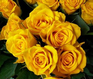 Превью обои розы, букет, желтые, яркие, красота