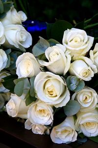 Превью обои розы, букеты, цветы, белые, красиво