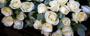 Превью обои розы, букеты, цветы, белые, красиво