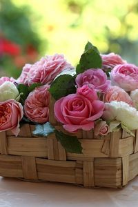 Превью обои розы, бутоны, цветы, корзинка, красота