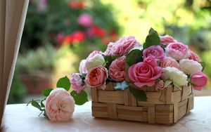 Превью обои розы, бутоны, цветы, корзинка, красота