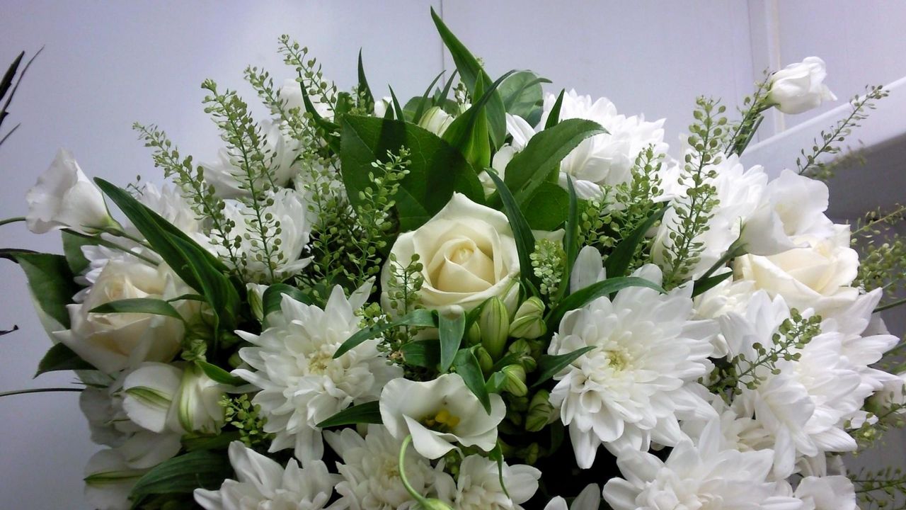 Обои розы, хризантемы, белоснежные, цветы, букет
