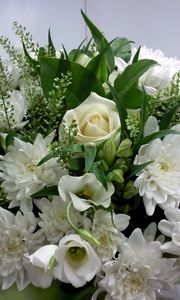 Превью обои розы, хризантемы, белоснежные, цветы, букет