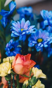 Превью обои розы, хризантемы, цветы, букет, синий
