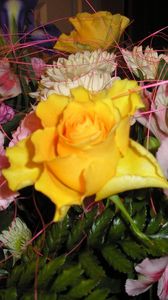Превью обои розы, ирисы, альстромерия, цветы, букет, листья, оформление, крупный план