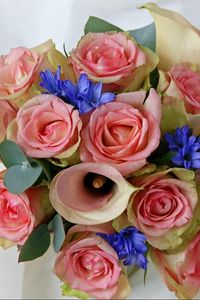Превью обои розы, каллы, цветы, букет, сочетание, красиво