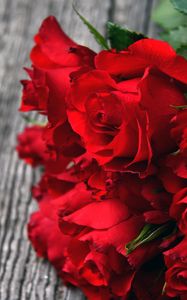 Превью обои розы, красный, букет, бутоны, лепестки, крупным планом