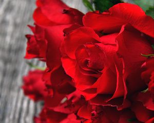 Превью обои розы, красный, букет, бутоны, лепестки, крупным планом