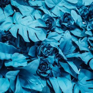 Превью обои розы, листья, краска, голубой