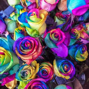 Превью обои розы, разноцветный, букет, красочный