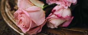 Превью обои розы, розовый, капли