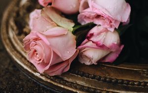 Превью обои розы, розовый, капли