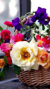 Превью обои розы, садовые, петуния, цветы, корзина, композиция